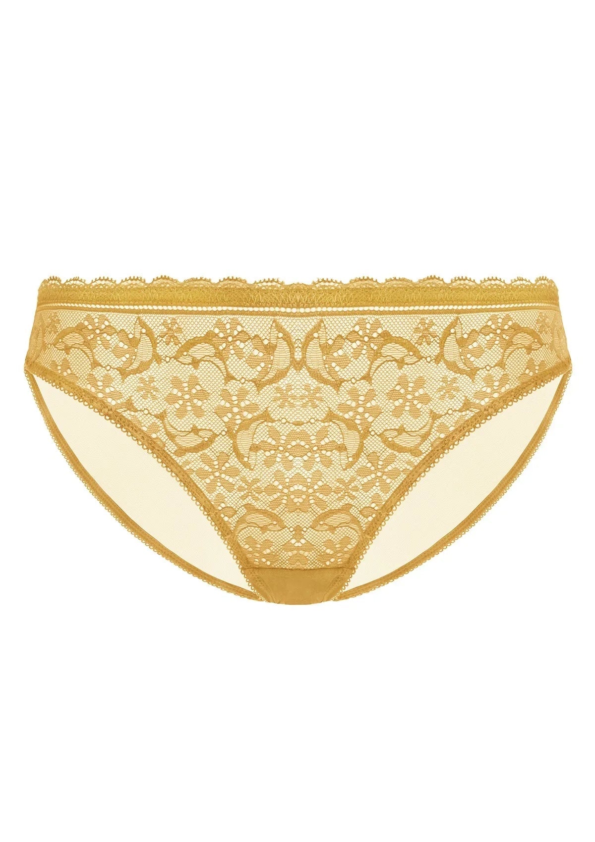 Anemone Lace Dolphin Mid-low Rise Ginger Bikini Underwear