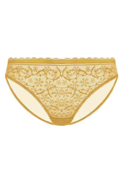 Anemone Lace Dolphin Mid-low Rise Ginger Bikini Underwear