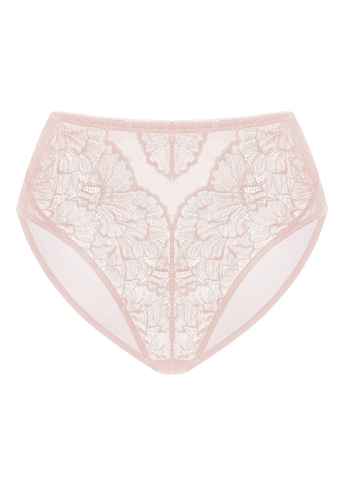 Blossom High-Rise Lace Brief Underwear