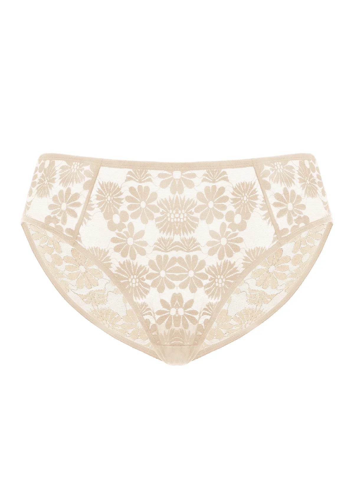 Daisy High-Rise Soft Comfort Lace Brief Underwear