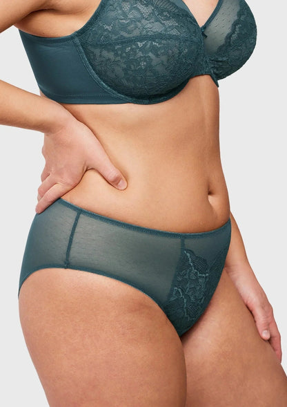 Enchante High-Rise Lace Brief Underwear