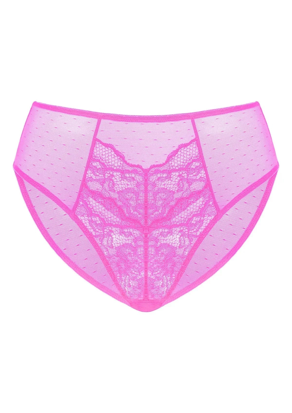 Enchante High-Rise Lace Brief Underwear