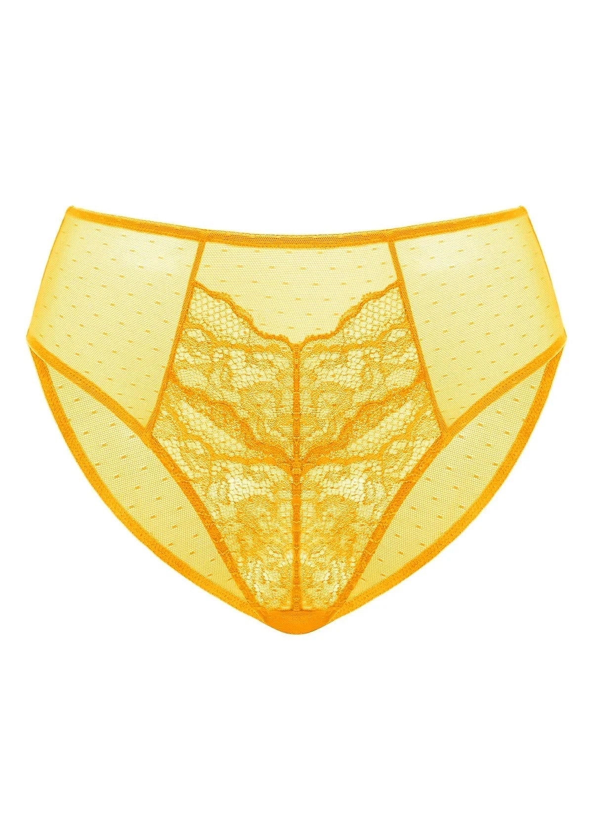 Enchante High-Rise Lace Brief Underwear