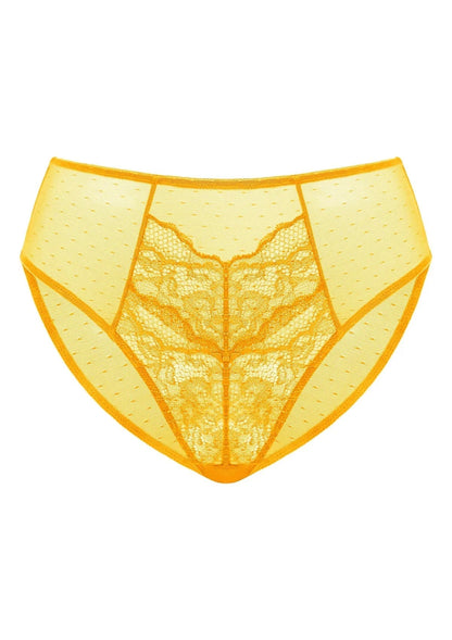 Enchante High-Rise Lace Brief Underwear