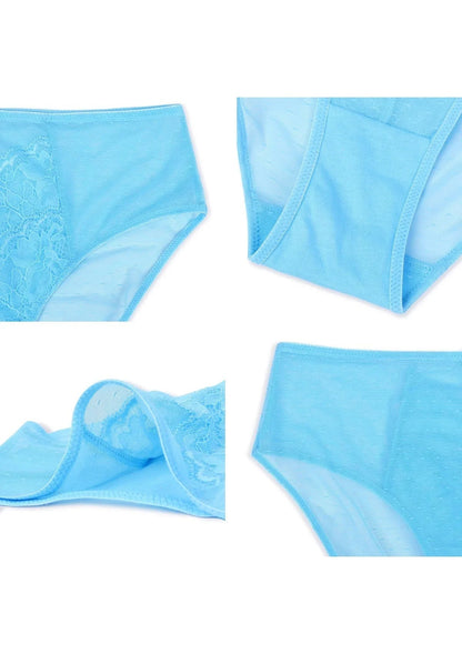 Enchante High-Rise Lace Brief Underwear