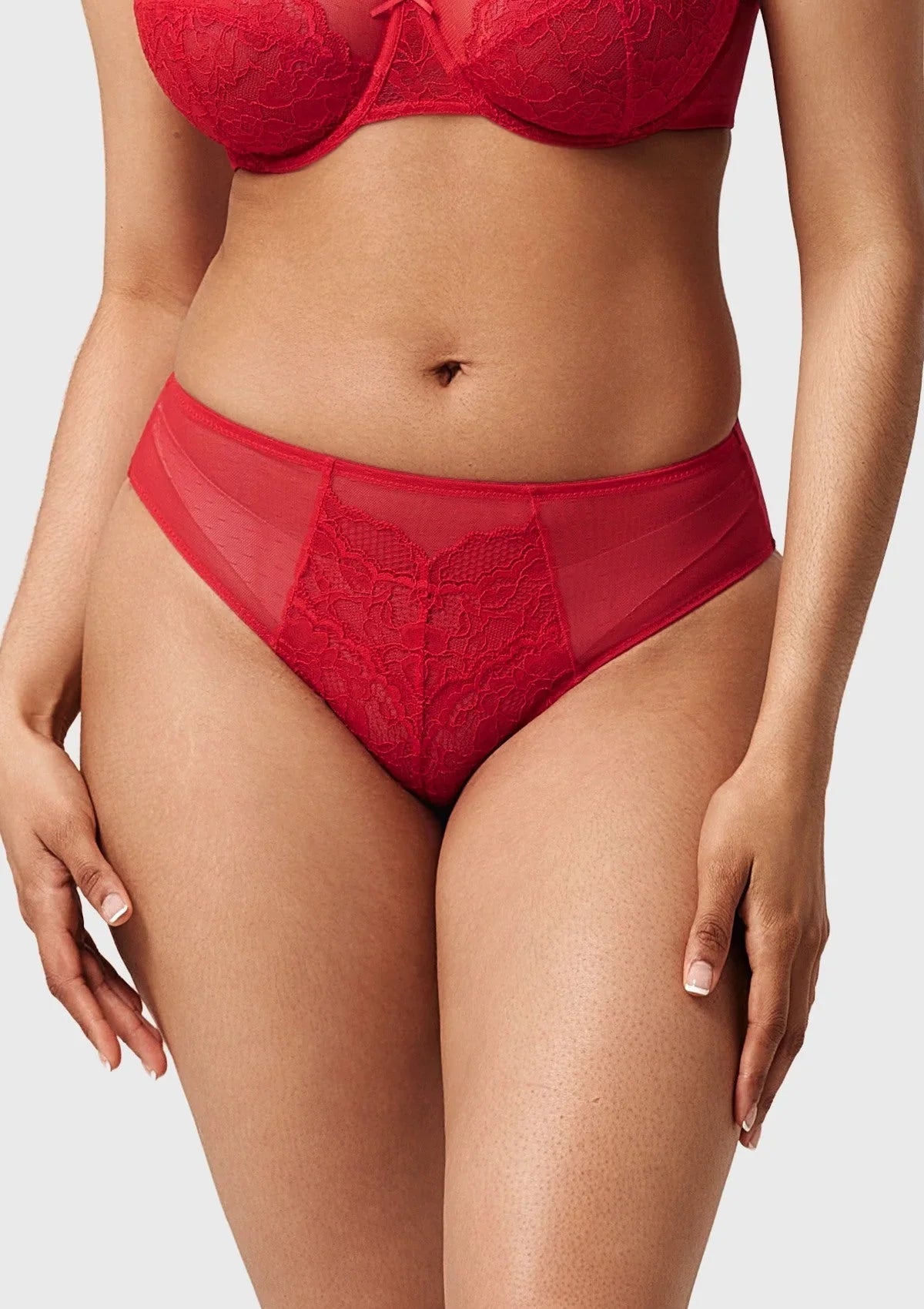Enchante High-Rise Lace Brief Underwear