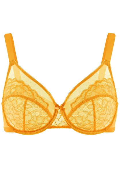 Enchante Unlined Non-padded Lace Underwire Bra