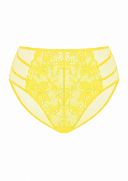 Pretty In Petals High-Rise Lace Brief Underwear