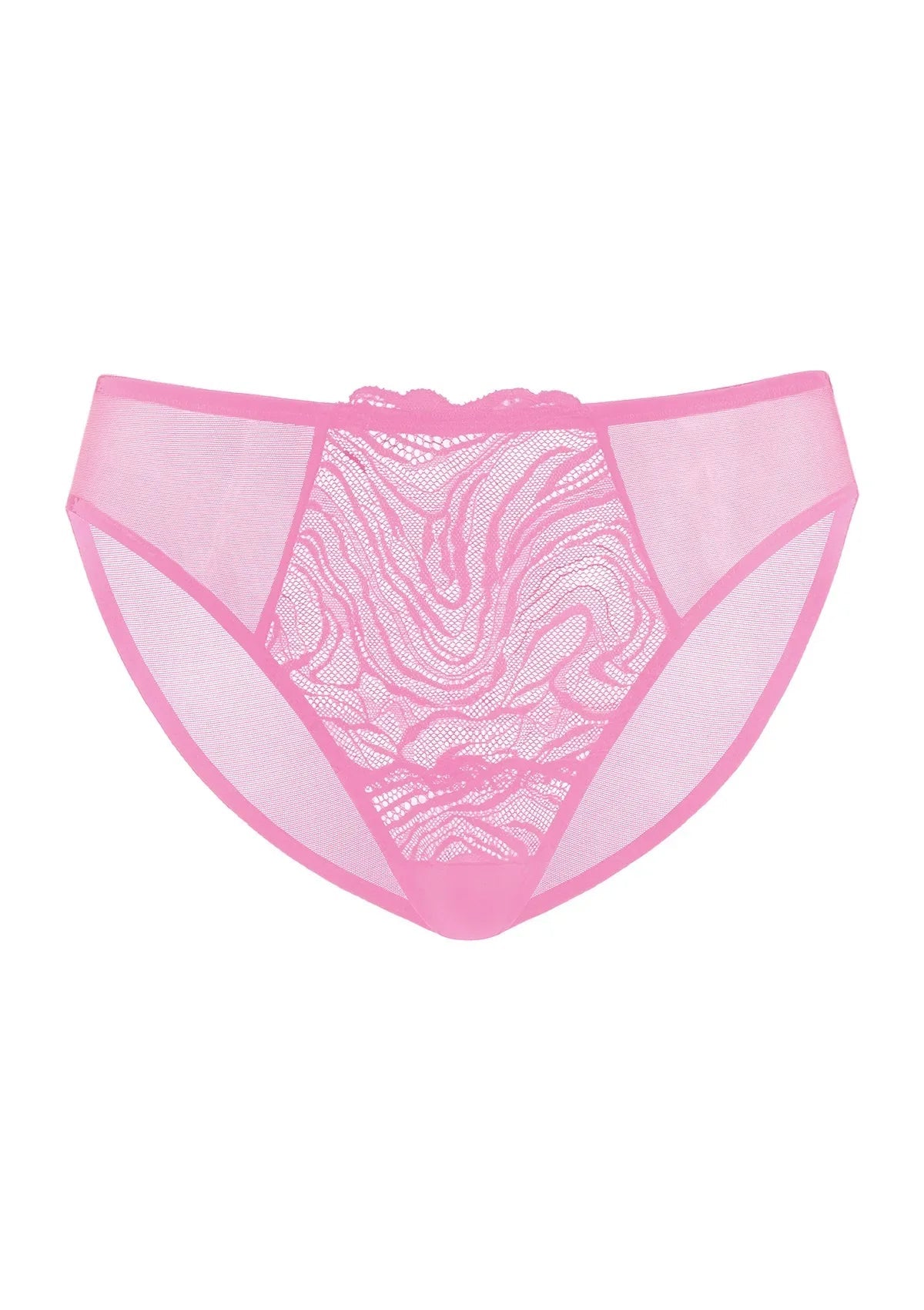Serenata Floral High-Rise Sheer Mesh Lace Bikini Undewear