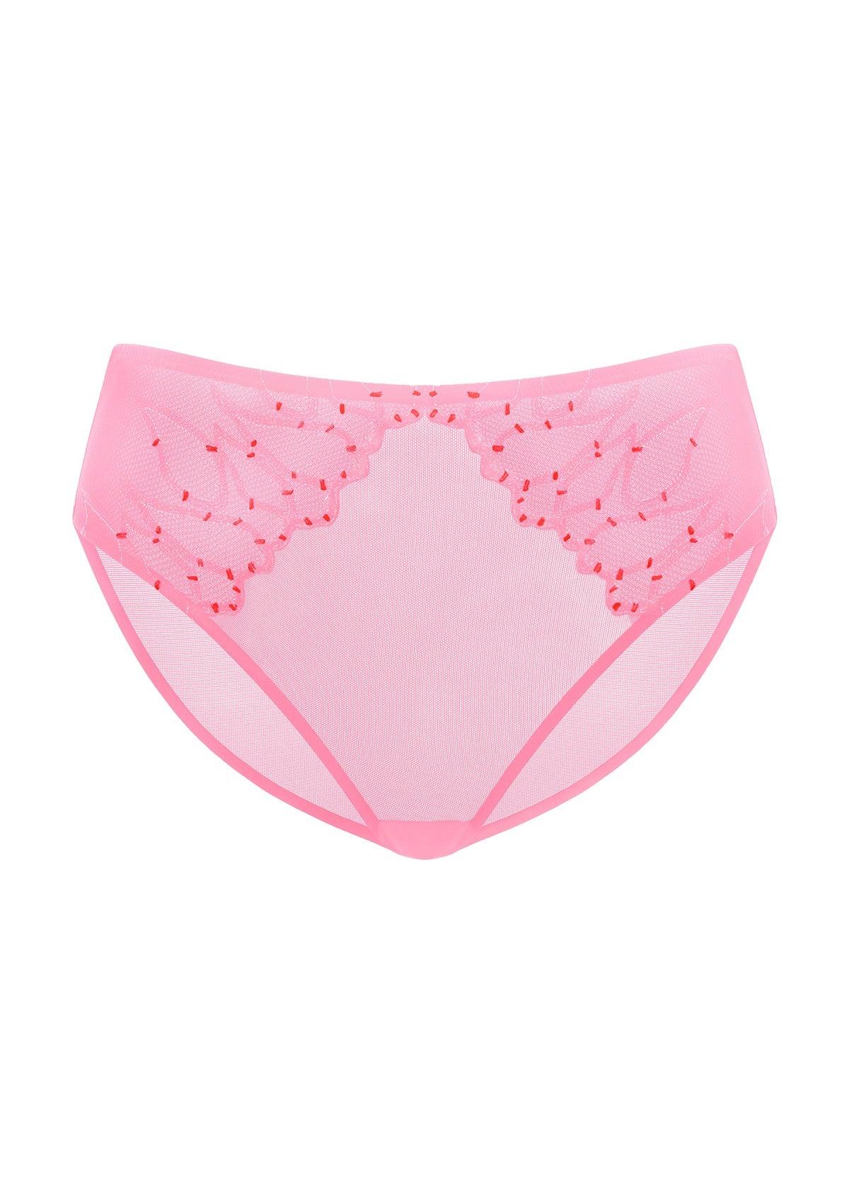 Winter Sonata Embroidered High-Rise Sheer Mesh Lace Bikini Undewear