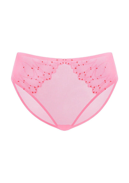 Winter Sonata Embroidered High-Rise Sheer Mesh Lace Bikini Undewear