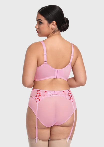 HSIA Renna Holiday Embroidered Pink Mesh Brief Underwear