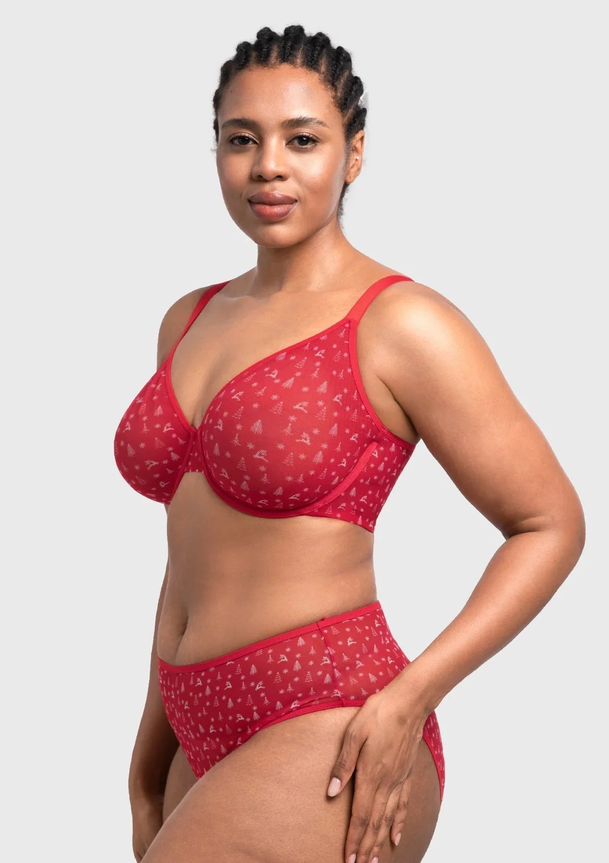 HSIA Christmas Holiday Edit Unlined Plus Size Non-padded Underwire Adjustable Straps Full Coverage Bra
