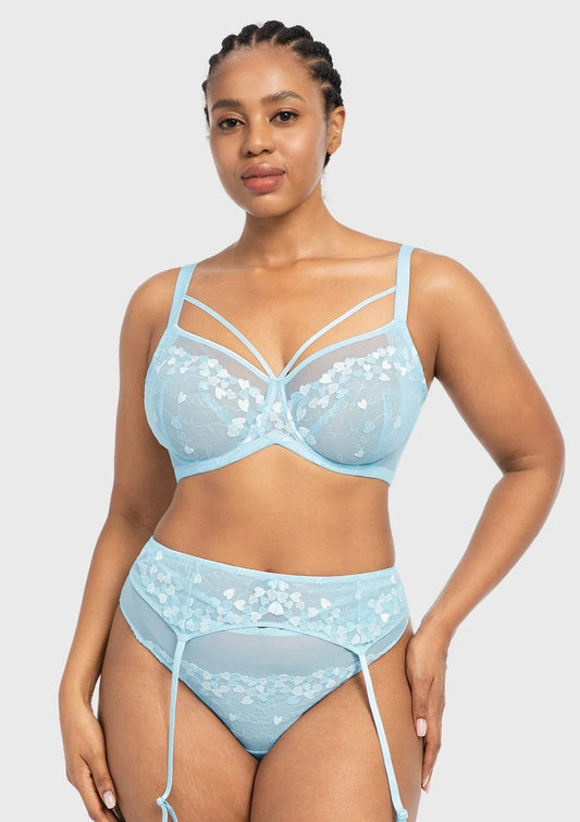 HSIA Renna Holiday Edit Embroidery Pink Lace Underwire Bra
