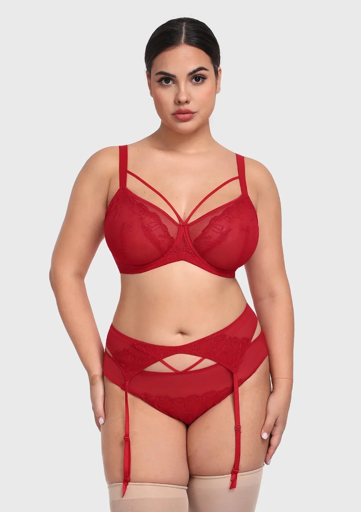 HSIA Renna Holiday Embroidered Red Mesh Thong Underwear