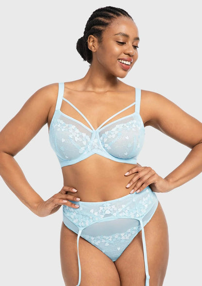HSIA Renna Holiday Edit Embroidery Pink Lace Underwire Bra