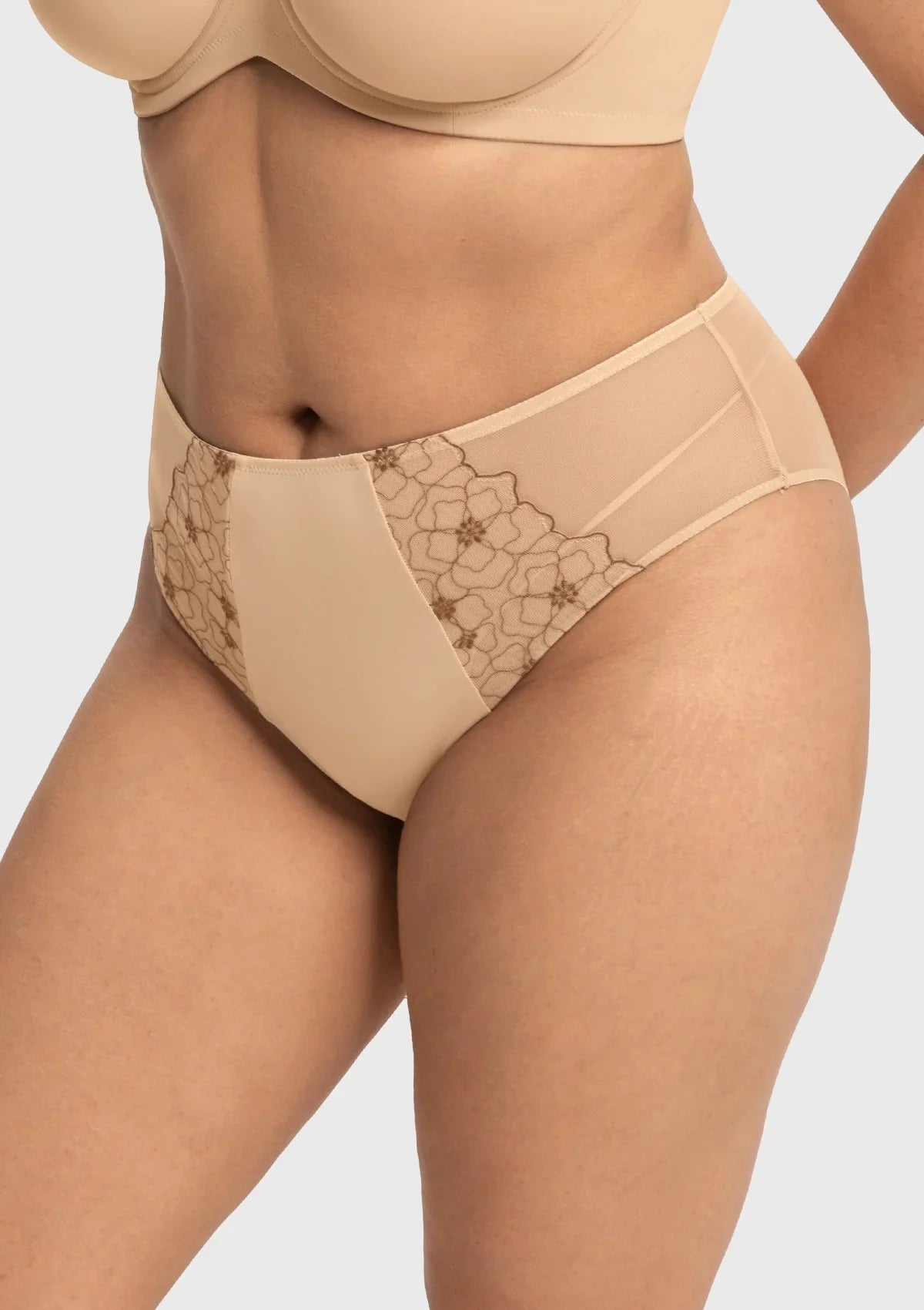 Dahlia Elegant Embroidered Lace High Waist Panty