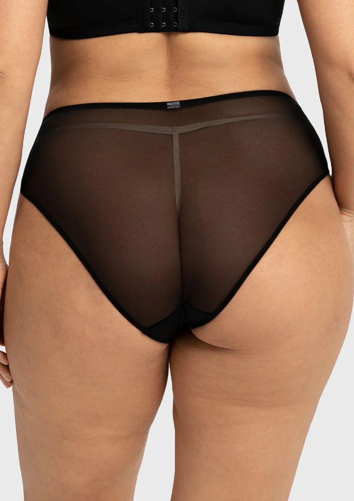 Dahlia Elegant Embroidered Lace High Waist Panty