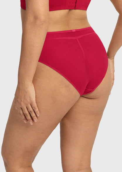 Dahlia Elegant Embroidered Lace High Waist Panty
