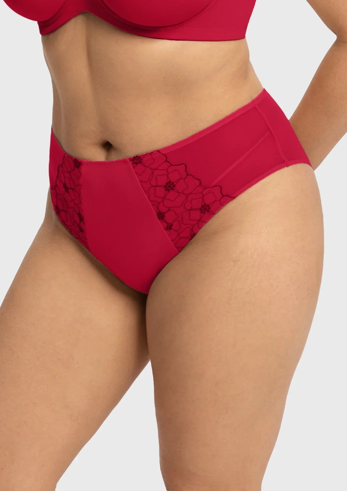 Dahlia Elegant Embroidered Lace High Waist Panty