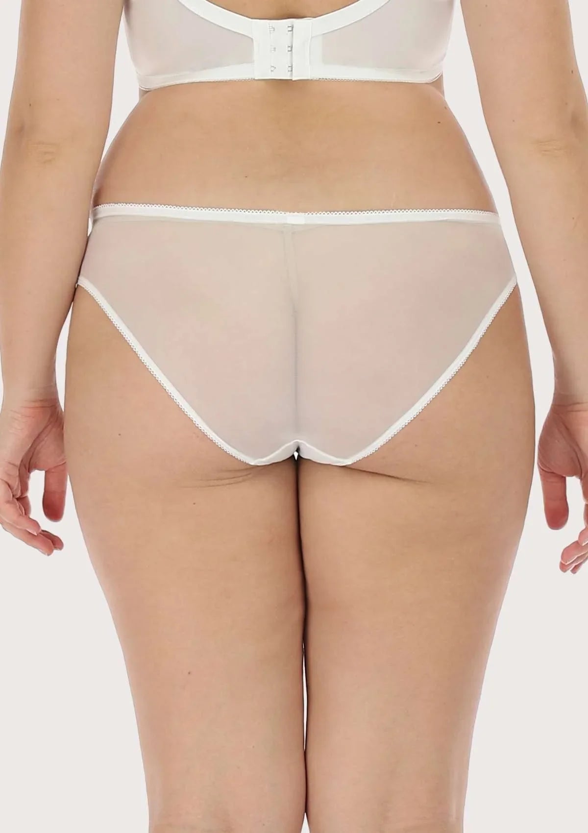 Anemone Lace Dolphin Mid-low Rise Bikini Underwear