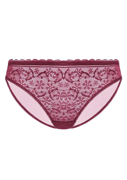 Anemone Lace Dolphin Panties 3 Pack