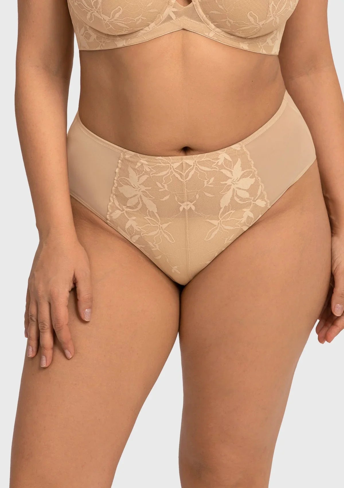 HSIA Petalia Sexy Elegant Lace High Waist Panty