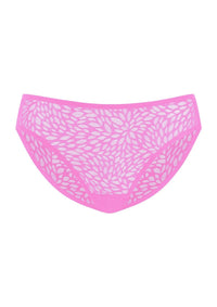 Pink Purple
