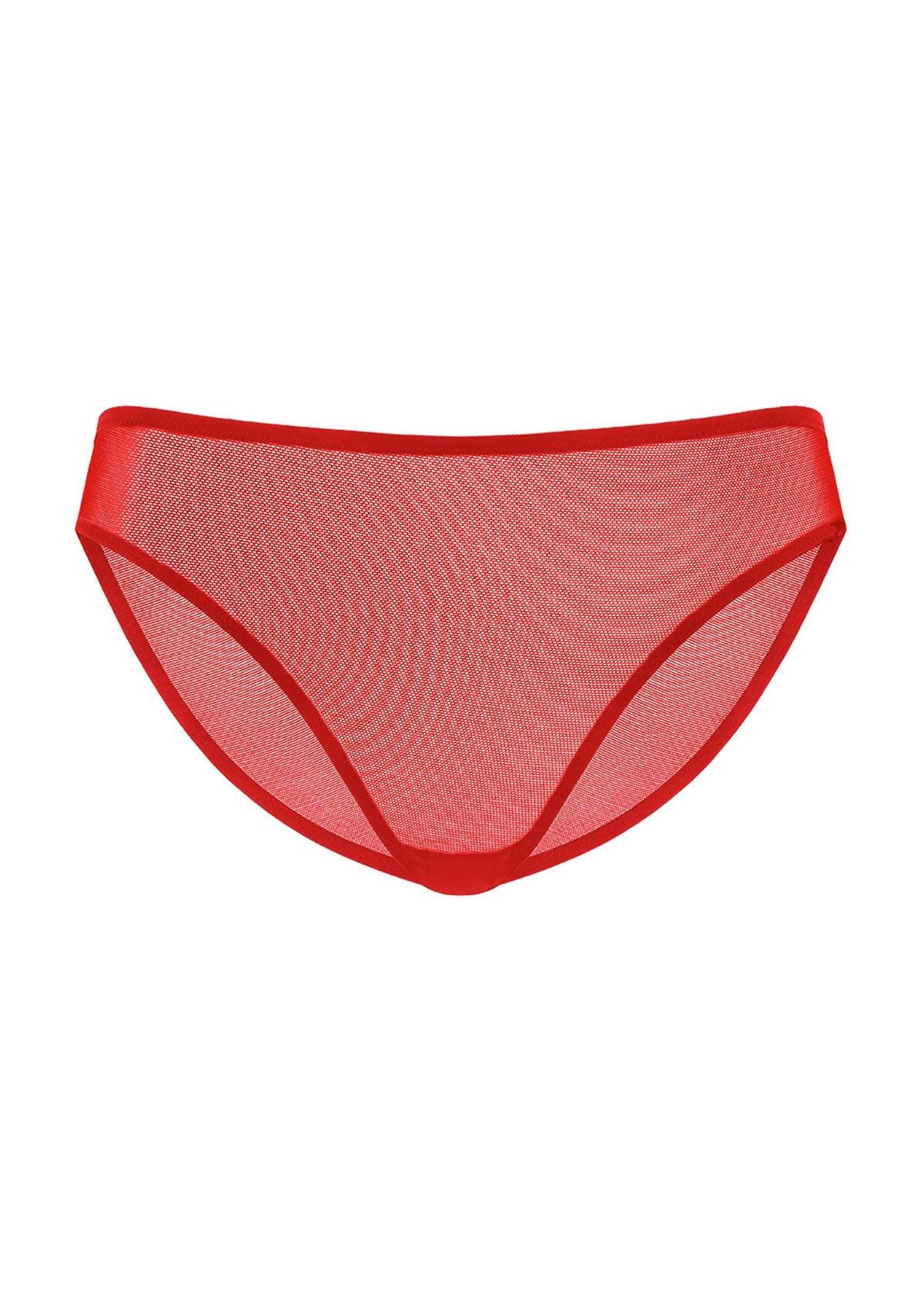 Seraphina Smooth Sheer Mesh Bikini Underwear