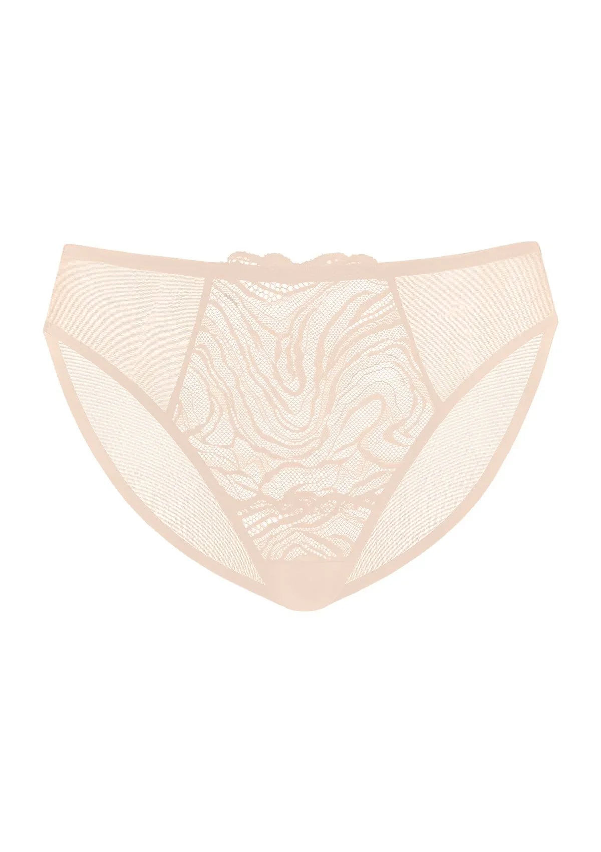 Serenata Floral High-Rise Sheer Mesh Lace Bikini Undewear