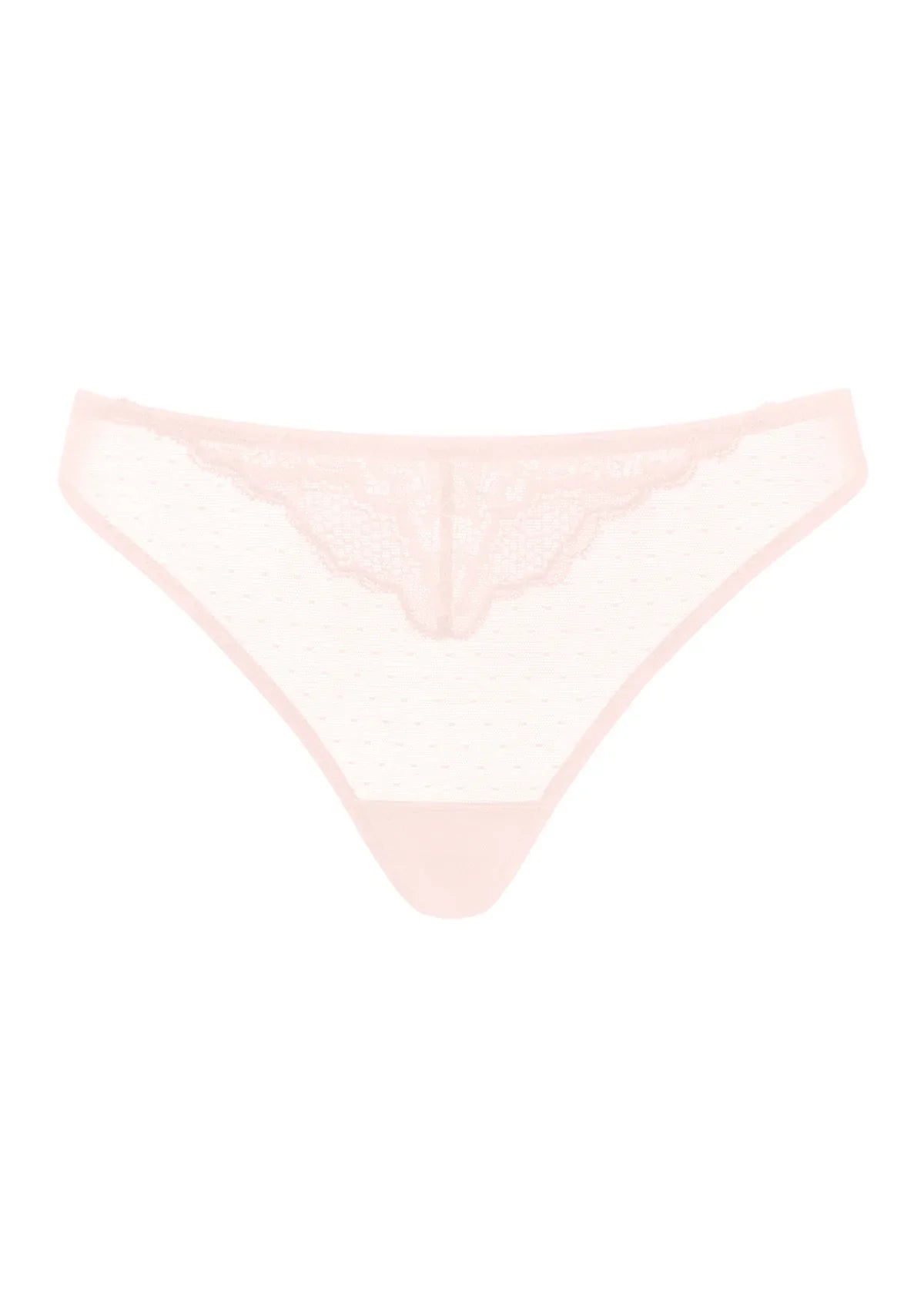 Enchante Floral Lace Sheer Mesh Back Thong Undewear
