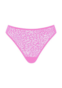 Pink Purple