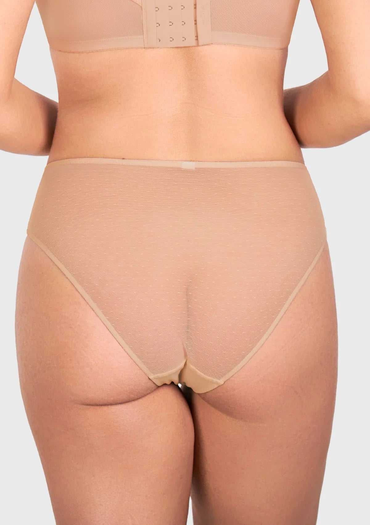 Enchante High-Rise Lace Brief Underwear