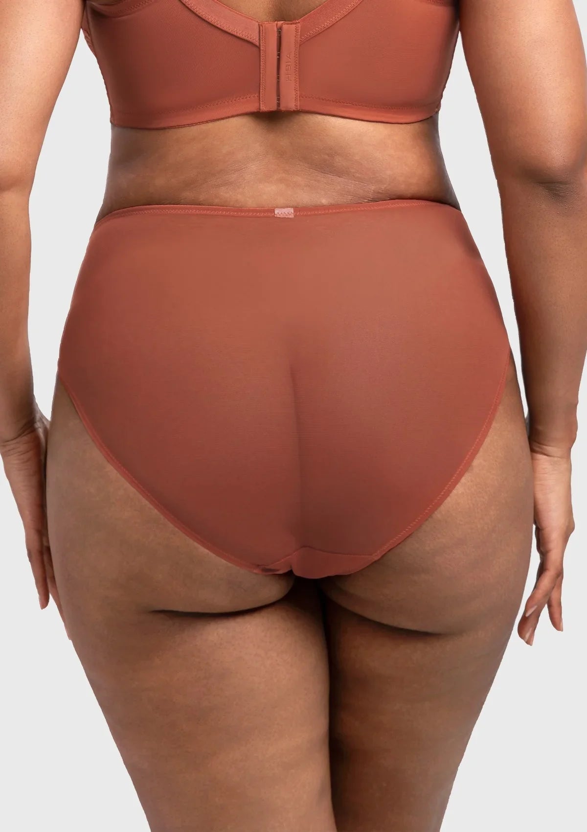 Mermaid High-Rise Lace Brief Underwear