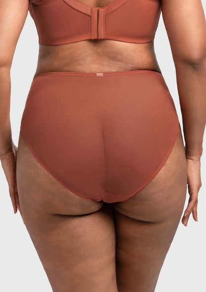 Mermaid High-Rise Lace Brief Underwear