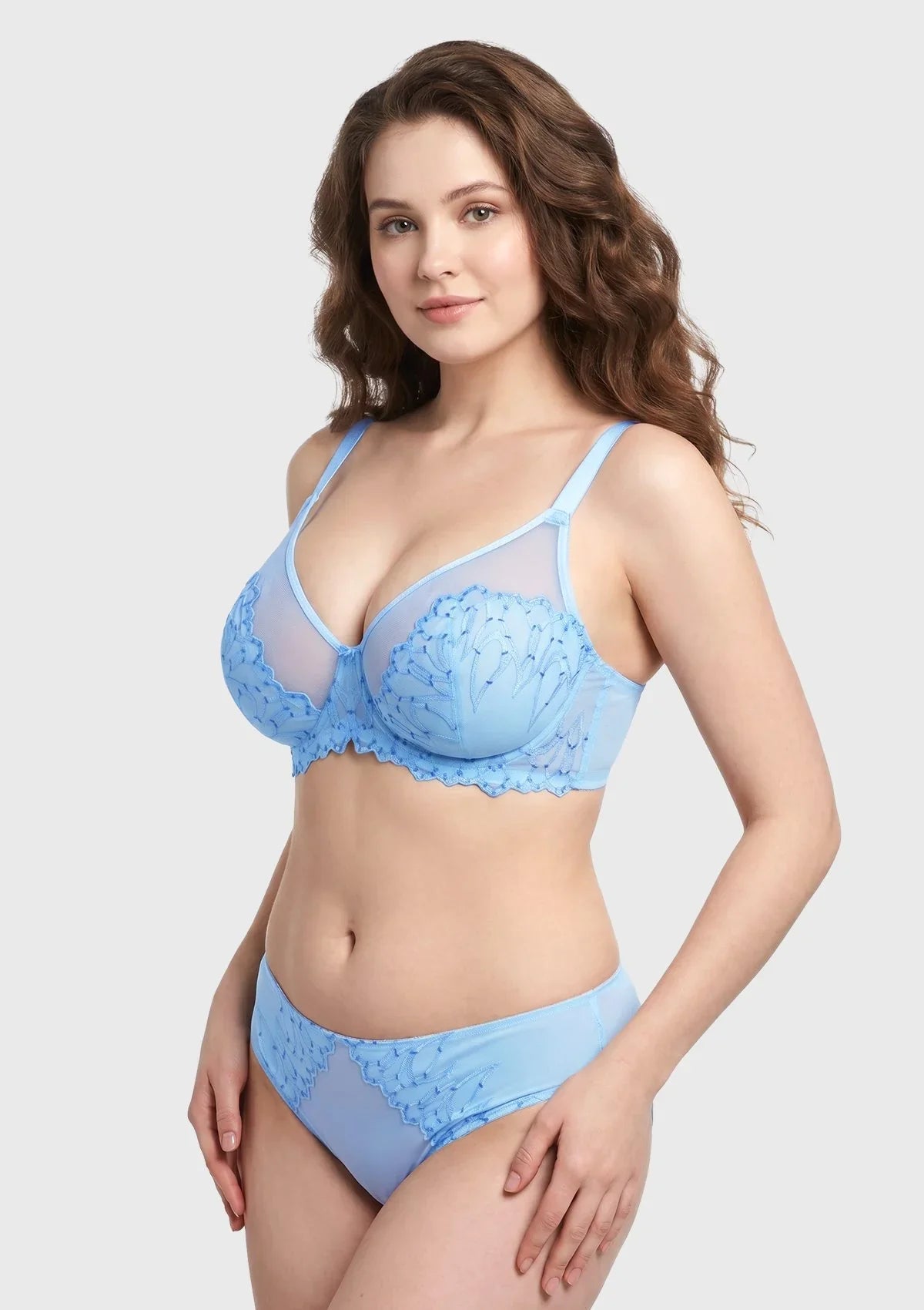 Winter Sonata Embroidered Lace Trim Full Coverage Unlined Underwire Bra